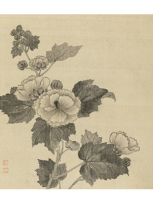 蒋廷锡 《墨色木槿》