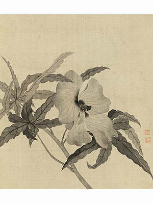 蒋廷锡 《墨色蜀葵》