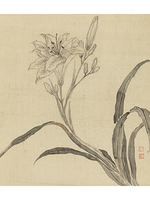 蒋廷锡 《墨色萱花》