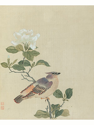 蒋廷锡 《栀子花太平鸟》