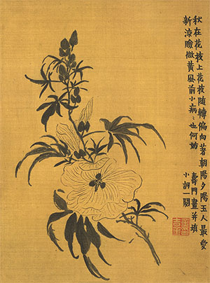 金农 《蜀葵》