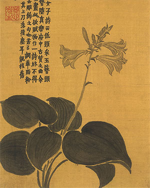 金农 《玉簪花》