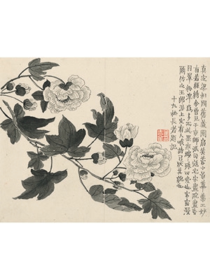 金农 《芙蓉》