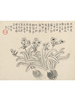 金农 《水仙》