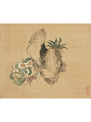 居廉 《水仙花球》