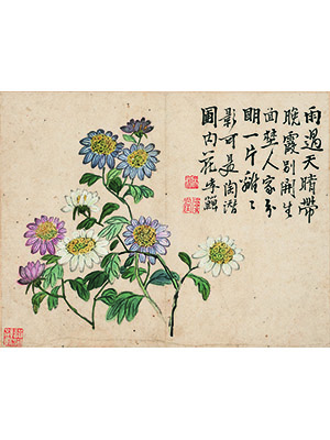 李鱓 《菊花》