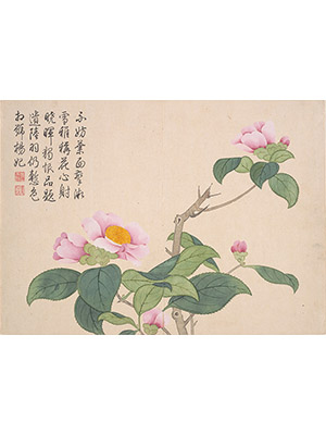 钱维城 《茶花》