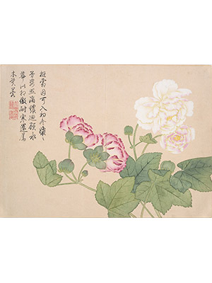 钱维城 《芙蓉》