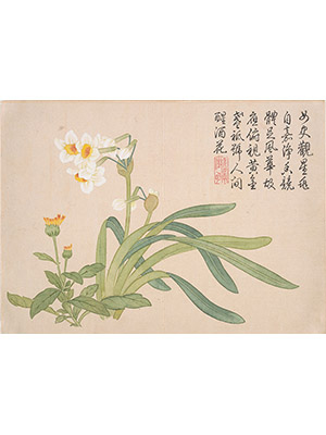 钱维城 《水仙》
