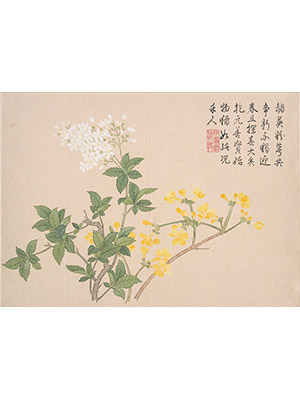 钱维城 《赭英粉萼共争新》