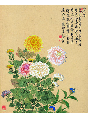 邹一桂 《九华仙菊花》