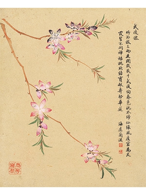 邹一桂 《桃花武陵仙》