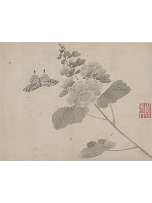 杜大成 《芙蓉蛱蝶》