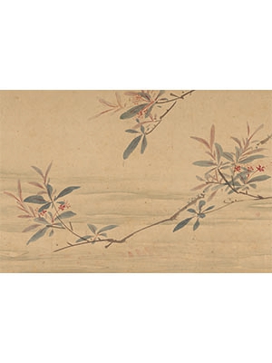 唐寅 《落花诗图卷》