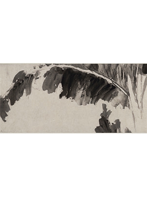 徐渭 《杂花图卷》