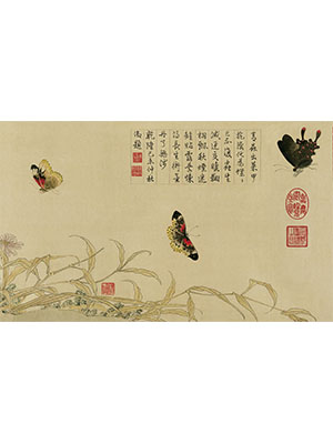 赵昌 《写生蛱蝶图卷》