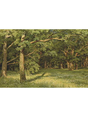 希施金 《树林芳草地》