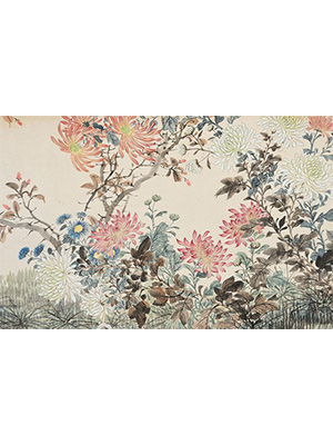 奚冈 《菊花图卷》