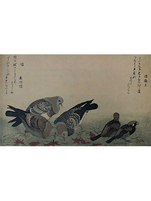 喜多川歌磨 《麻雀与鸽子》