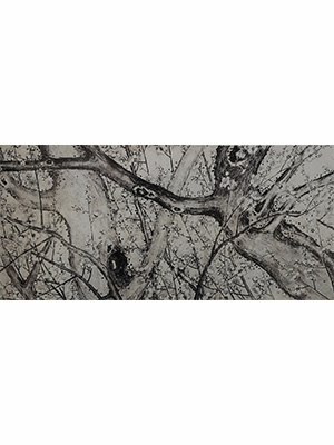 朱瞻基 《墨梅图卷》